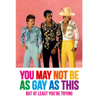 You May Not Be As Gay Fridge Magnet