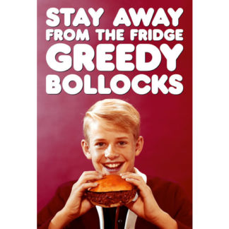 Stay Away From The Fridge Fridge Magnet