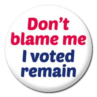 Button Badge - Don't Blame Me I Voted Remain