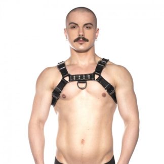 Prowler RED Bull Harness Black