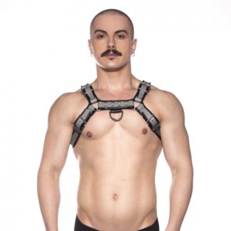 Prowler RED Bull Harness Grey