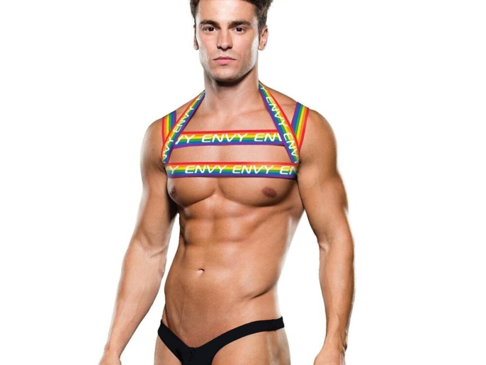 RAINBOW HARNESS - M/L