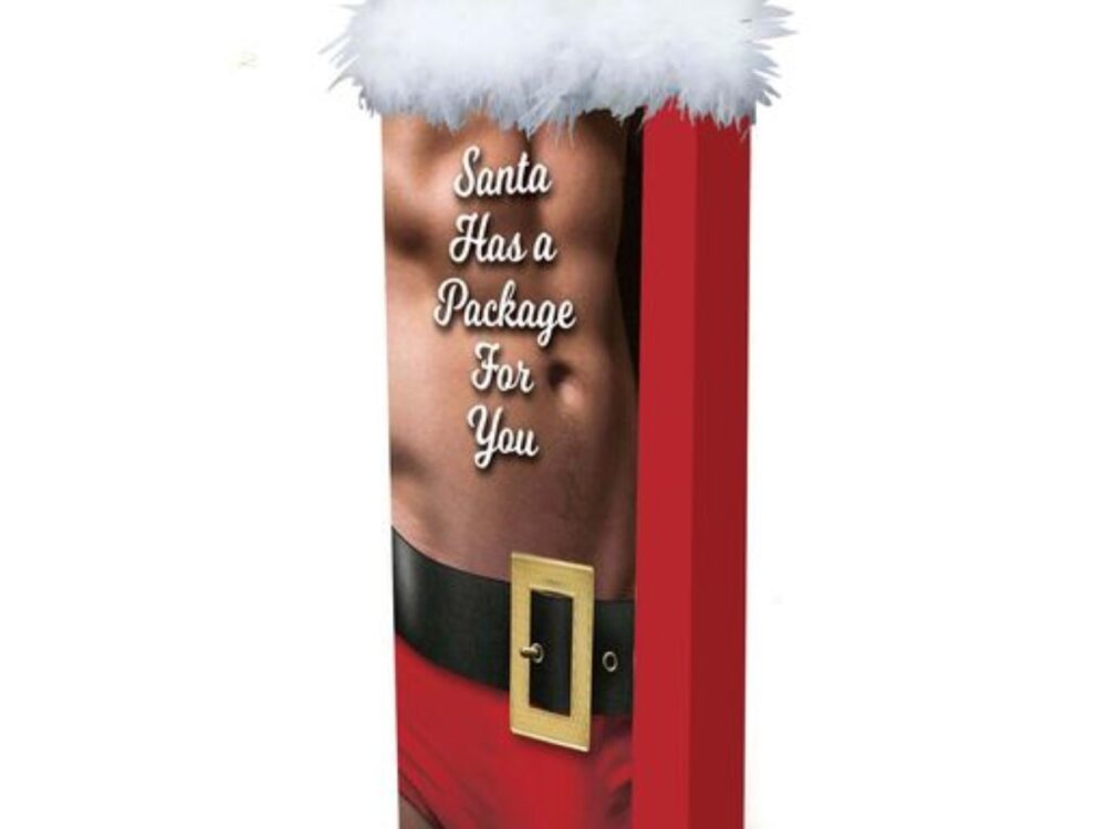 Little Genie Santa Has A Big Package For You  Gift Bag