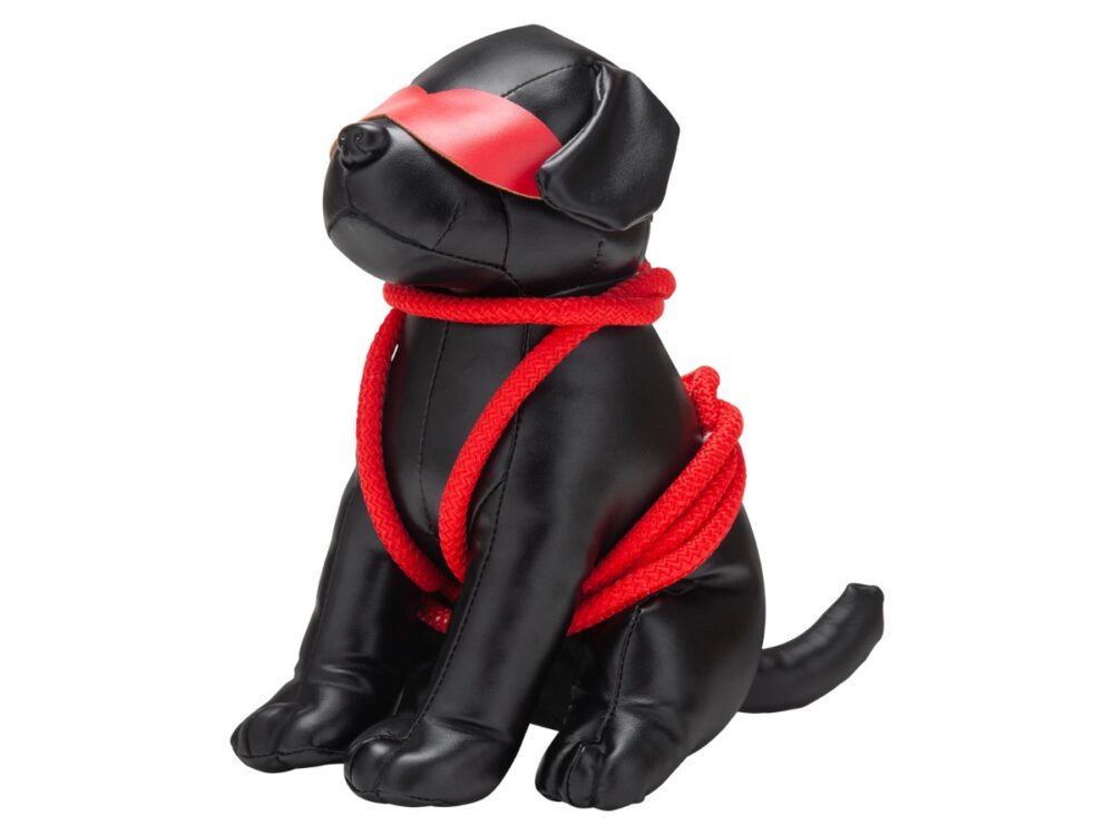 Roped Up Rover - Kinky puppy toy